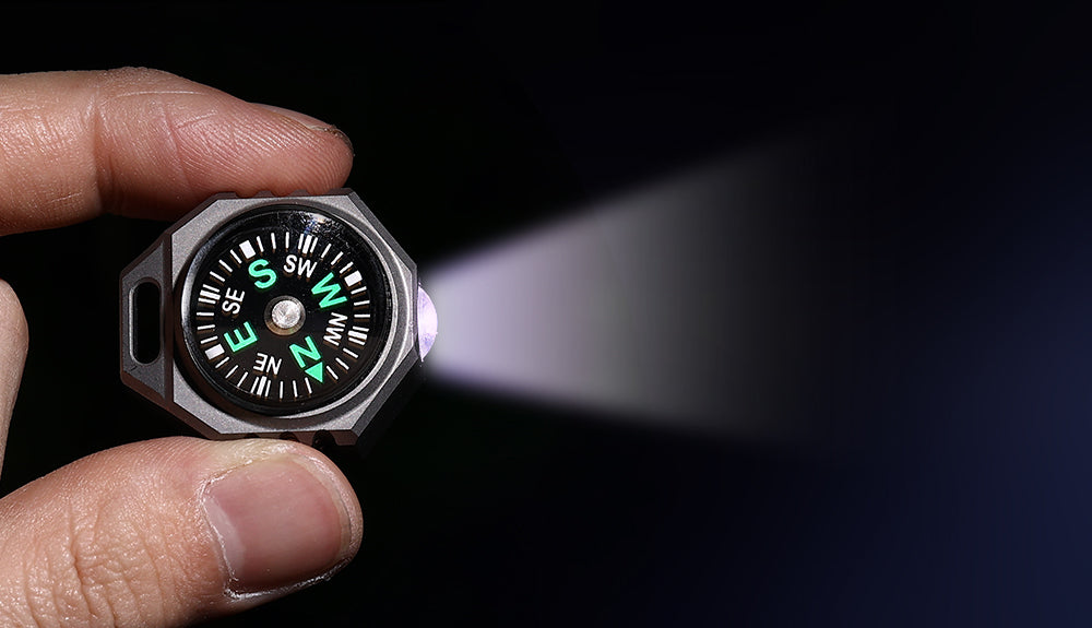 Compass Pointing Light RODMAN